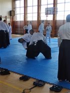 img 4454 1