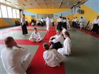 img 1699 1