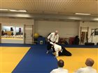 img 4247 1