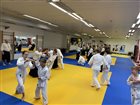 img 6217 1