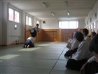 img 5937 1