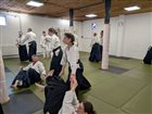 dsqh6178 1